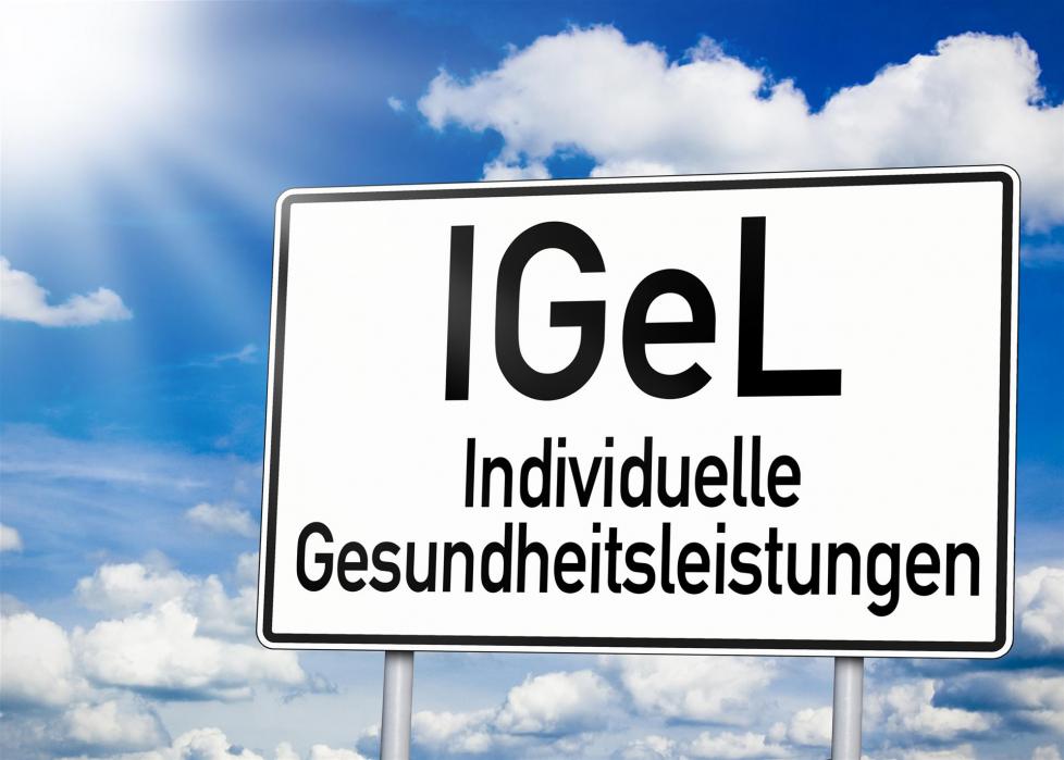 Igel Leistungen